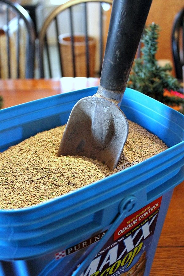10 Clever Alternative Uses for Cat Litter! The Creek Line House