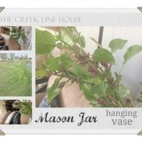 Hanging Mason Jar Vase