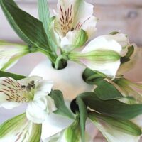 Use a Toothbrush Holder as a Vase!