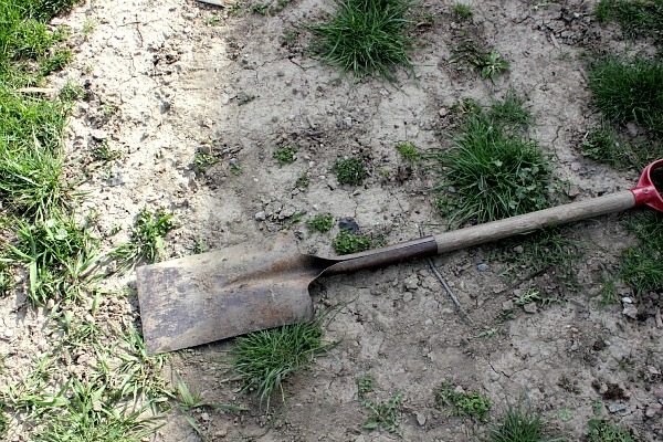 How to Edge a Flower Bed - The proper tool