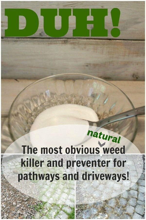 A quick and simple, natural DIY weed killing solution that really works!