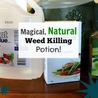 Magical, Natural, Weed Killing Potion