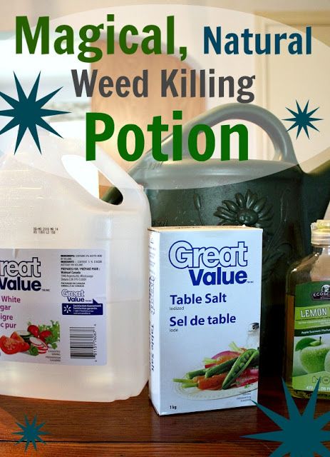 This natural weed killer recipe is perfect for killing bindweed and other pesky weeds in your flower beds and requires just three common ingredients.