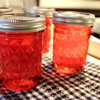 Unbelievably Easy County Fair Candy Apple Jelly and my first experience at canning!