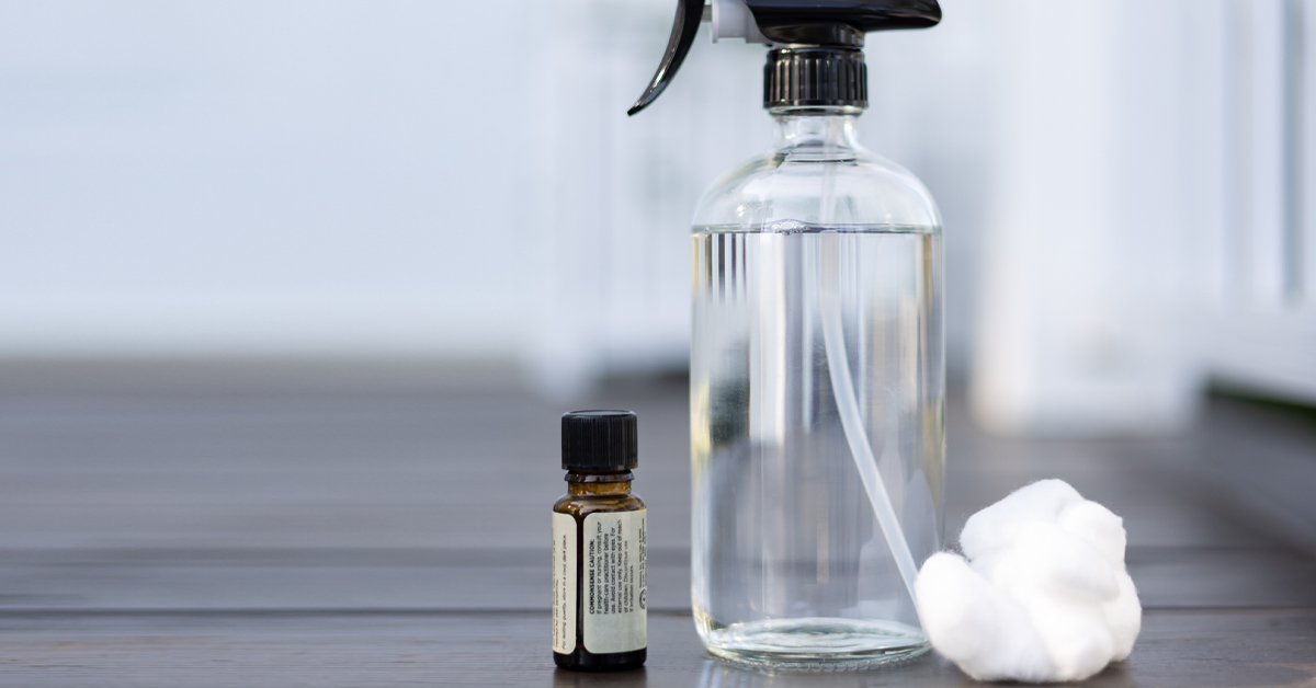DIY Peppermint oil spider repellent