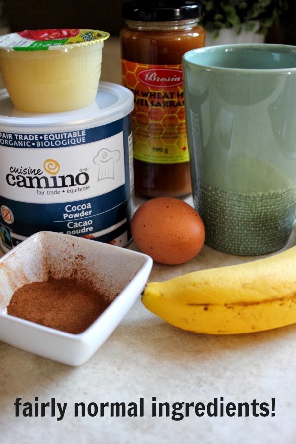 This healthy chocolate mug cake really hits the spot and it uses all real, natural ingredients!