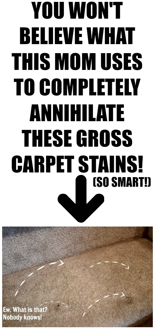 If you have stubborn carpet stains that just won't come out no matter what you try, this simple DIY trick may be just the thing thing you need! Make sure you try this first before you call in the professionals or spend money on one of those carpet cleaning gizmos!