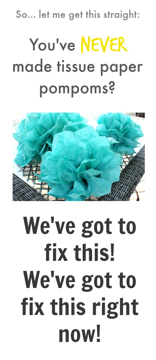 Probably the greatest craft ever! Use them for parties, holidays, or for everyday decor! Easy, fabulous, and cheap!
