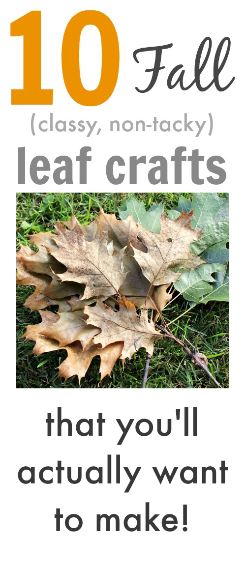Fall leaf crafts that you'll actually want to make and display in your home! These aren't your kindergartner's leaf crafts!