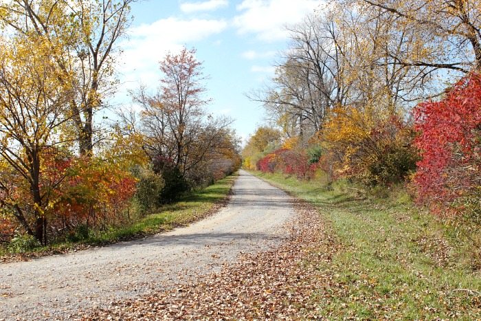 Great outdoor activities and beautiful Fall scenes to make sure you enjoy this November!