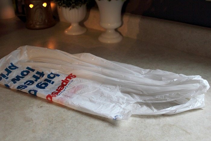 How to Fold Grocery Bags - Fold in Half
