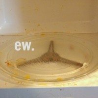 Easy Microwave Cleaning Trick