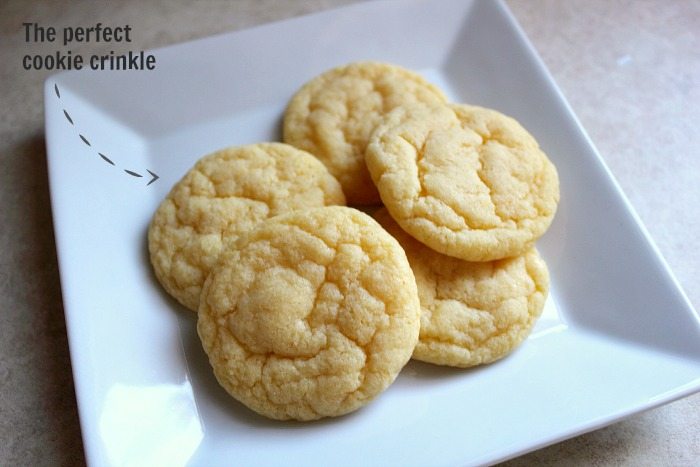 These cake mix pudding cookies might look plain and boring, but the flavor and texture is absolutely amazing! If you've got someone to bake for who doesn't like a lot of extra stuff in their cookies, THIS is the recipe you need!