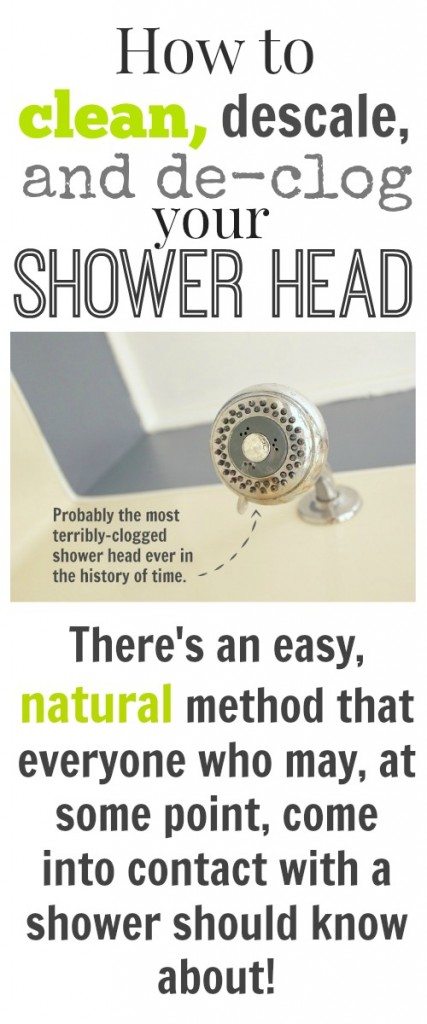 How to clean, descale, and unclog your shower head naturally! - The ...