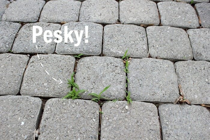 Pesky Little Weeds