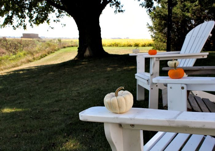 A tour of a farmhouse all decorated for fall! Full of easy 5-minute decorating ideas!