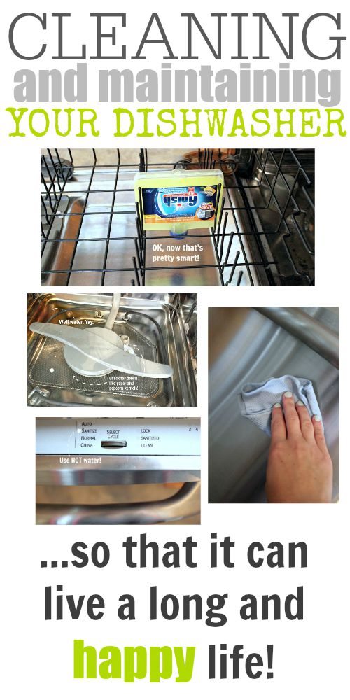 Keep your dishwasher clean and running smoothly by spending just a few minutes maintaining it each month!