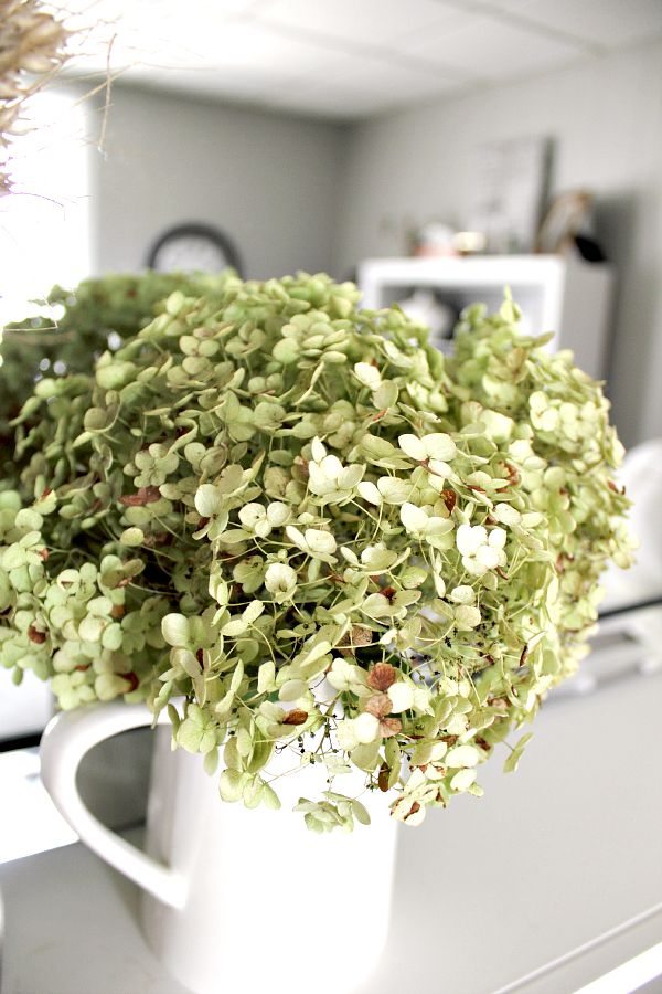 Get perfectly-dried hydrangea blooms every time with this easy step-by-step guide on how to dry hydrangeas. It's easier than you think.