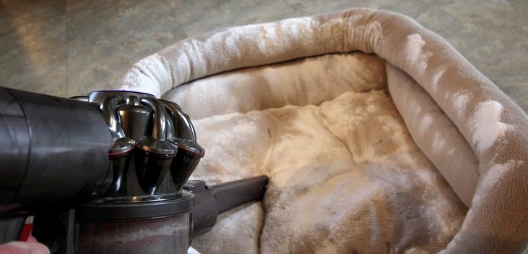 Here's a quick and easy way to deodorize and clean pet beds naturally. Keep your furry friends and the entire family happy with these simple steps. Vacuum.