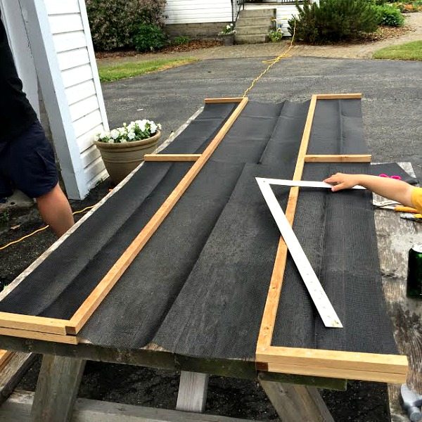 Protect Your Strawberries - Frame construction in process