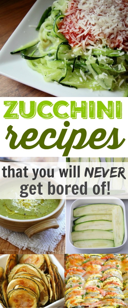 Zucchini recipes that you will never get bored of!