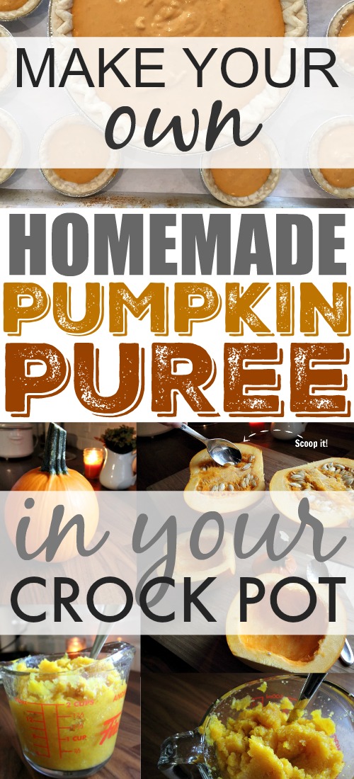 Make your own pumpkin puree in the Crock Pot! Follow this quick and simple recipe and enjoy fresher, better tasting pumpkin-y treats this fall.