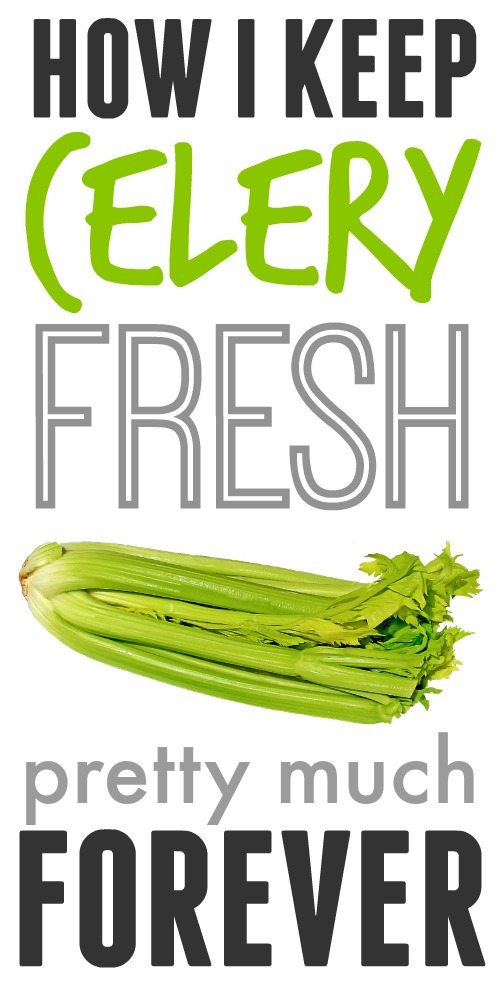This is the best way to keep celery fresh for a really long time! Store your celery using this trick and you'll be amazed at how long it can last!