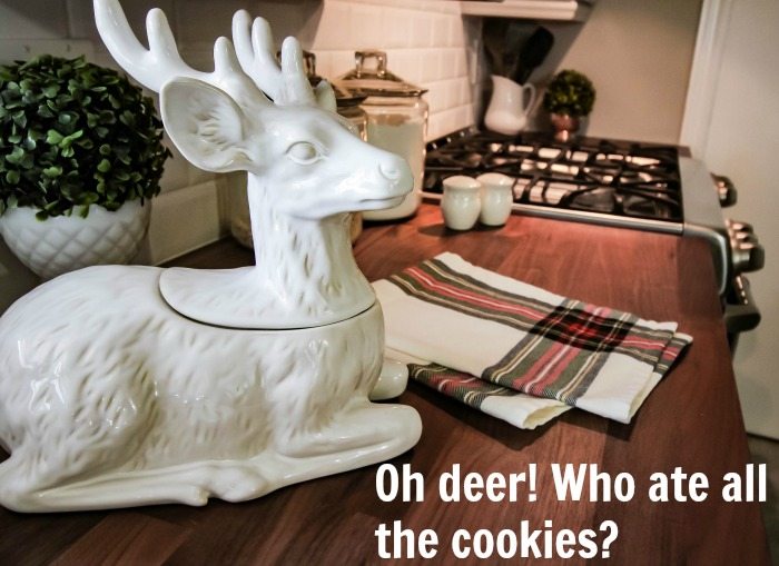 Christmas decorating ideas for the kitchen! Lots of easy, do-able tips!