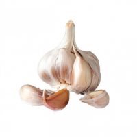 Fall Gardening: Planting Garlic