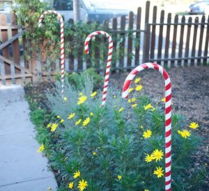 DIY Outdoor Decoration Ideas for Christmas! Definitely need to try some of these this year!