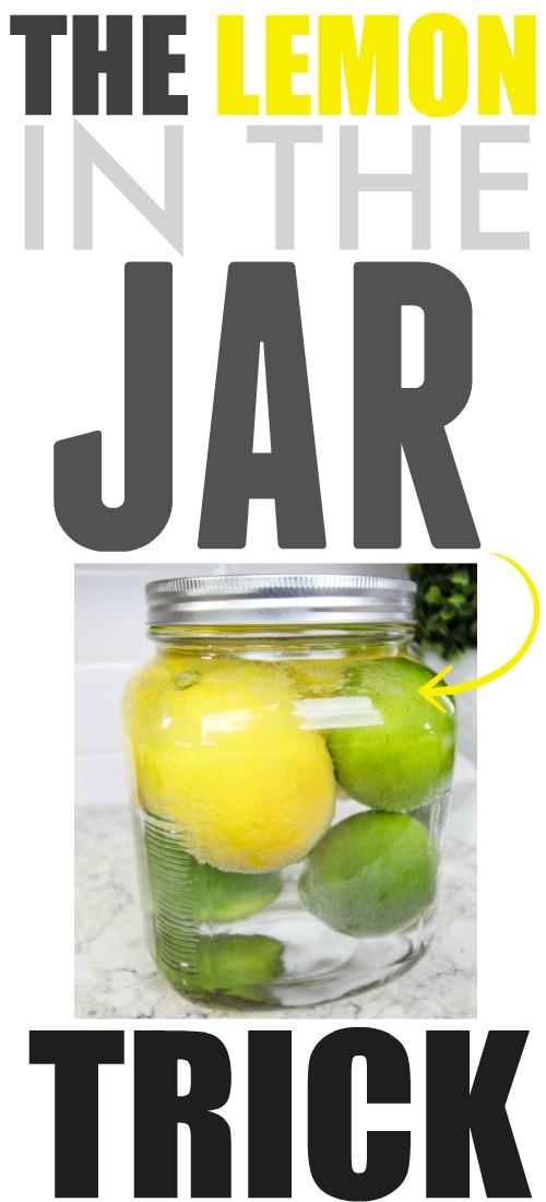 If you've found that you've had a need for a way to keep lemons and limes fresh for longer, I'm here to help! This one really works!