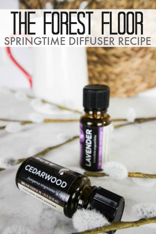 Essential oil recipes to try in your diffuser this spring!