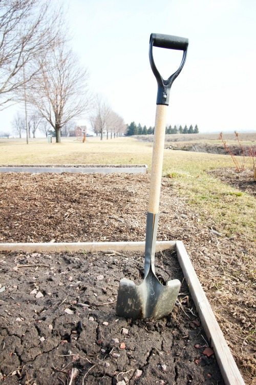 Great list of helpful things to have ready to go for early spring gardening!