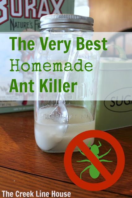 Homemade DIY Ant Killer recipe that really works! Love how simple and effective this recipe is!