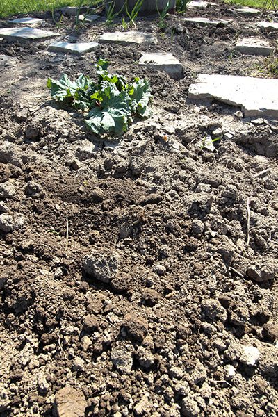 For those struggling with rock hard soil every spring, the secret to perfect, easy to work with garden soil is much easier than you think.  With this trick you'll be able to make garden soil that is soft, workable and weed-free as soon as you're ready to plant.