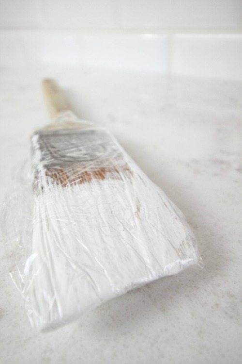 Great Painting Tips - The Paint Brush in the Fridge Trick