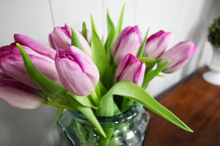 How to Stop Tulips From Drooping