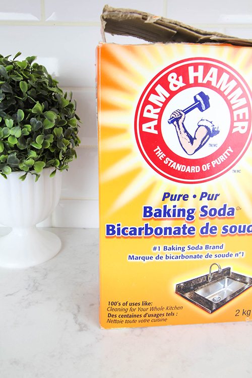 Baking soda has endless uses inside your home but did you know it's just as amazing and versatile outside.  Check out these clever uses for baking soda in the garden!