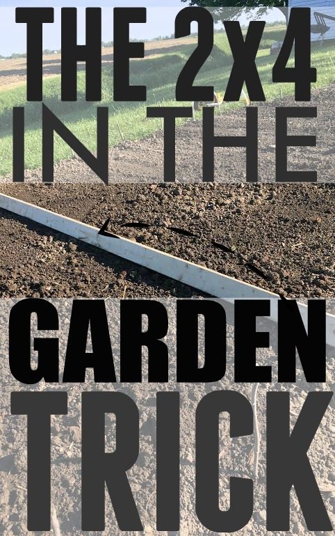 Such a simple but useful trick for planting in the garden!