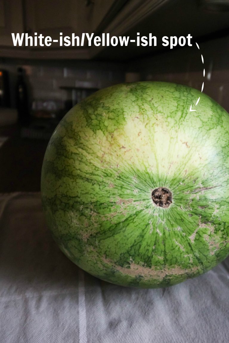 How to Choose the Perfect Watermelon The Creek Line House