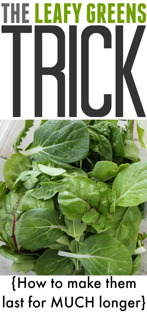 How to extend the life of your leafy salad greens!