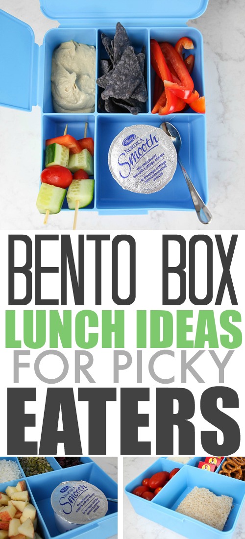Ideas for making bento box school lunches for picky eaters! #ad #BornOnTheFarm