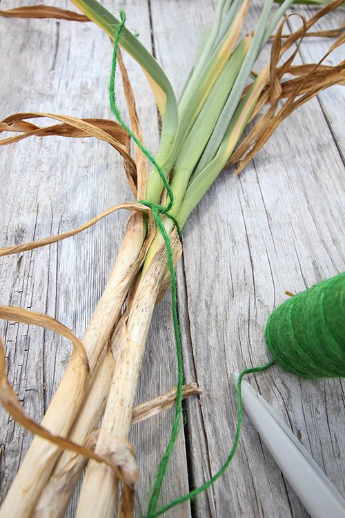 The next and final steps in our journey to grow our own garlic.  Join us and learn how to harvest garlic and store it for use in your favorite recipes!