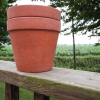 How to Properly Clean Flower Pots