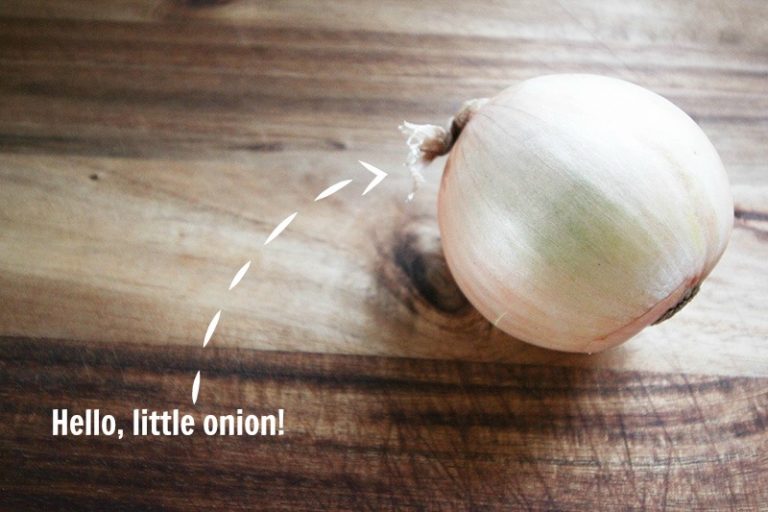 Best way to dice an onion