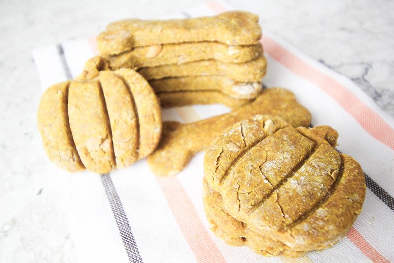 These pumpkin peanut butter, 3 ingredient dog treats are a fun, healthy way to show your furry friends how much you care! Make your own quickly and easily.