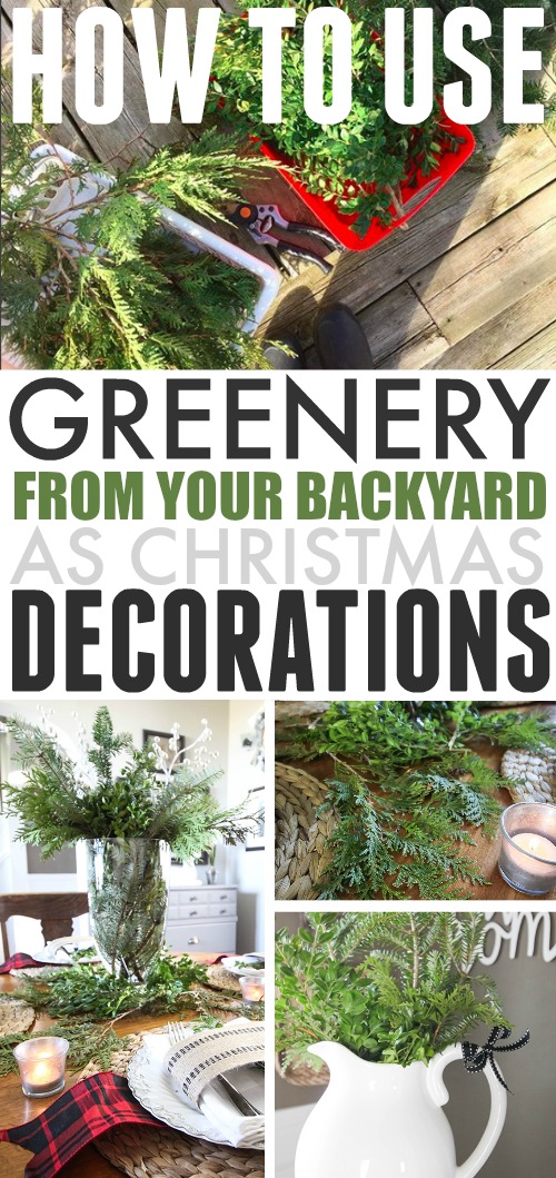 Gathering greenery from your backyard for Christmas decor is one of my favourite little tricks for making my Christmas decorating ideas really come to life!