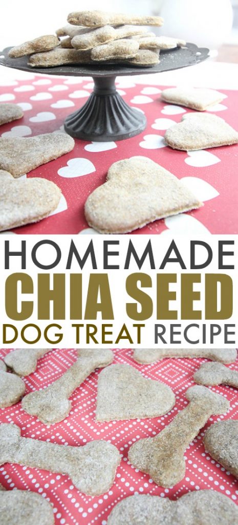 Photo inspiration: Picture Idea: Simple Chia Seed Dog Treats Recipe