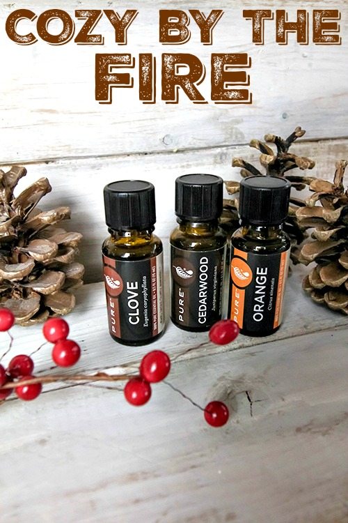 Use these Christmas Essential Oil Diffuser Recipes to create a holly jolly atmosphere in your home this Christmas season!