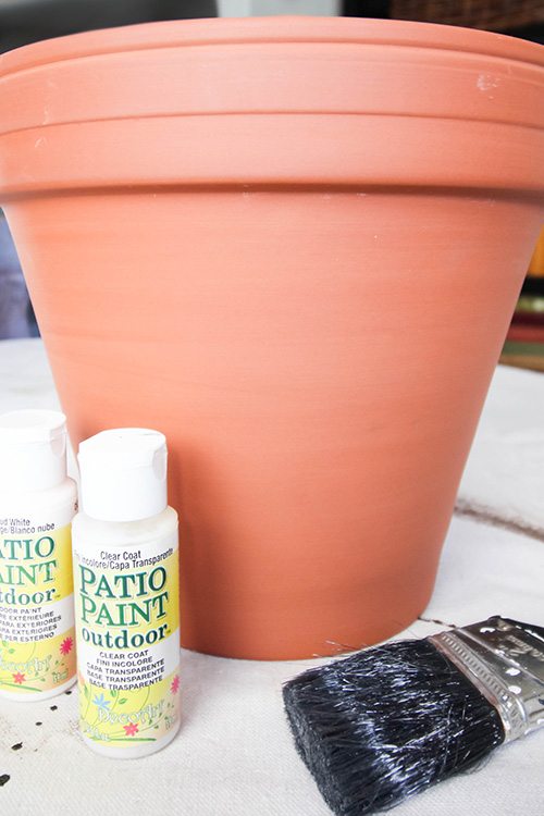 How to Age Terra Cotta Pots - The Supplies